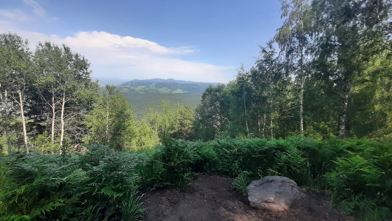 Гостиница Родник Алтая Белокуриха-160