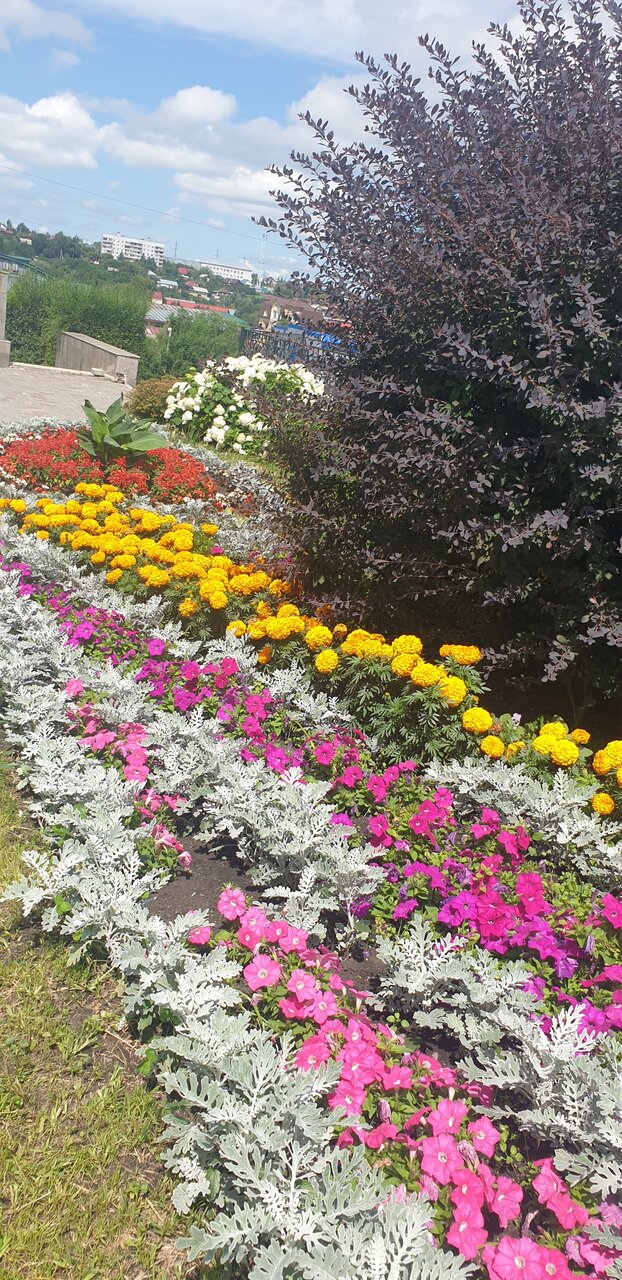 Гостиница Родник Алтая Белокуриха-176