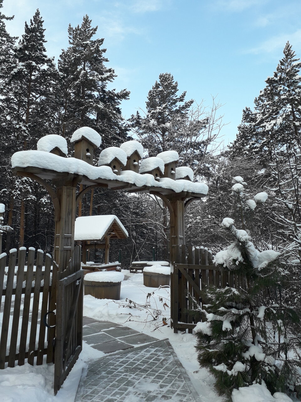 Гостиница Родник Алтая Белокуриха-211