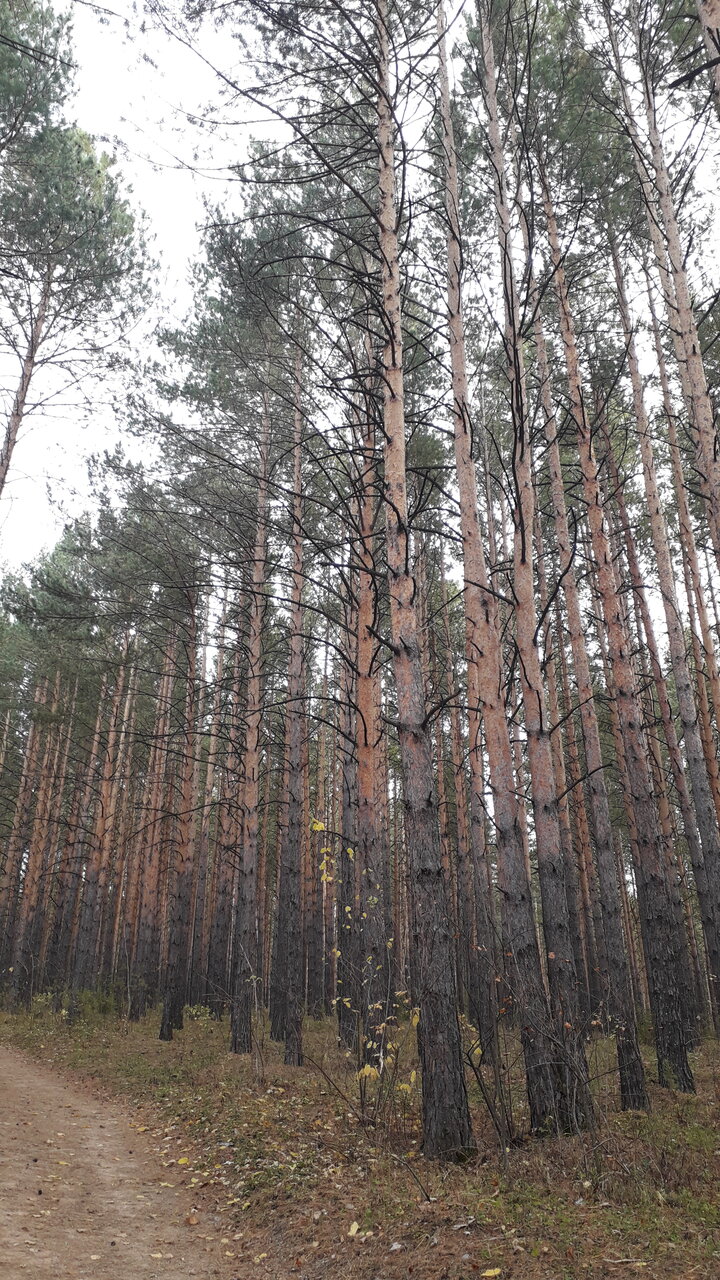 Гостиница Родник Алтая Белокуриха-154