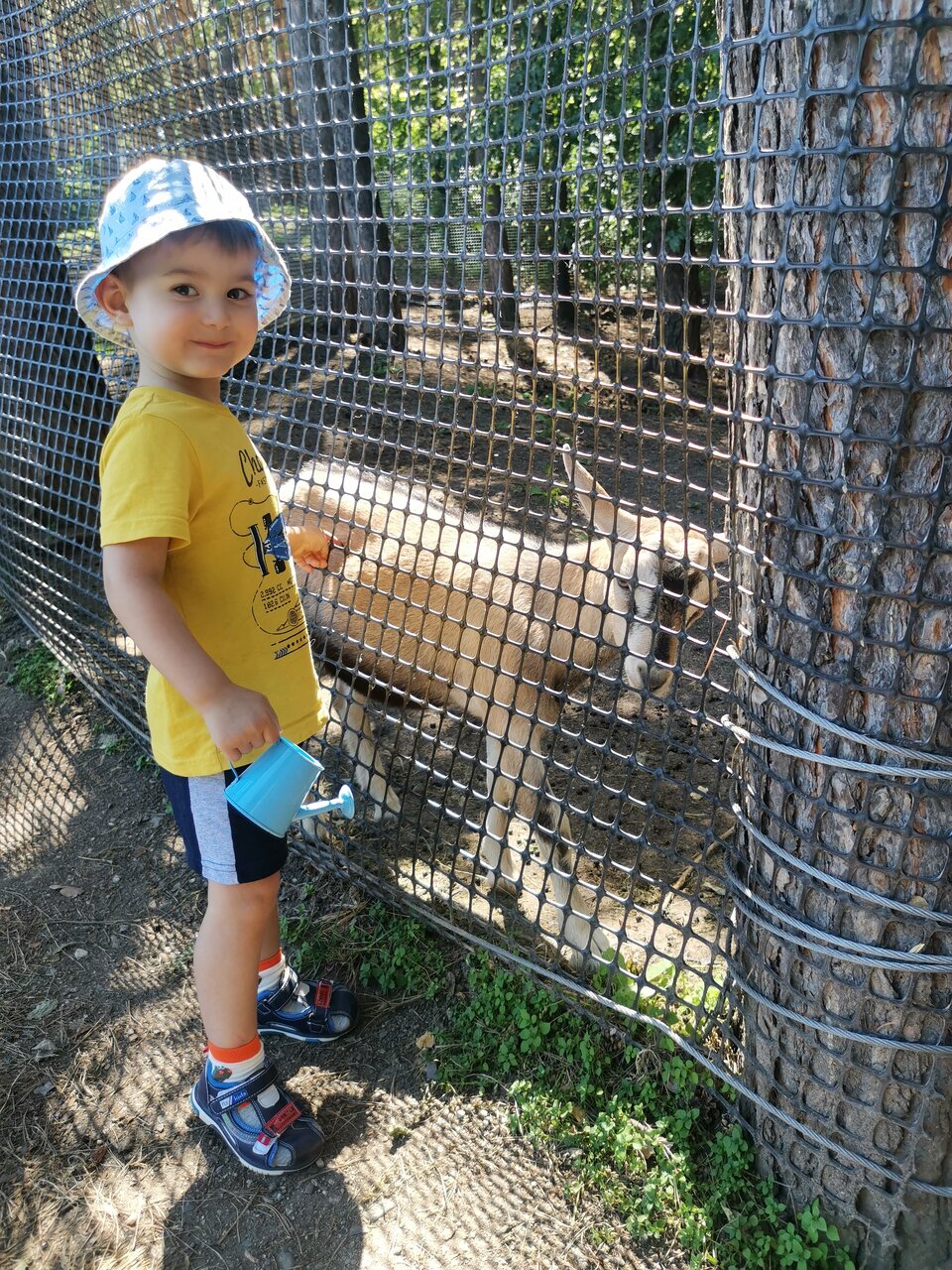 Гостиница Родник Алтая Белокуриха-135