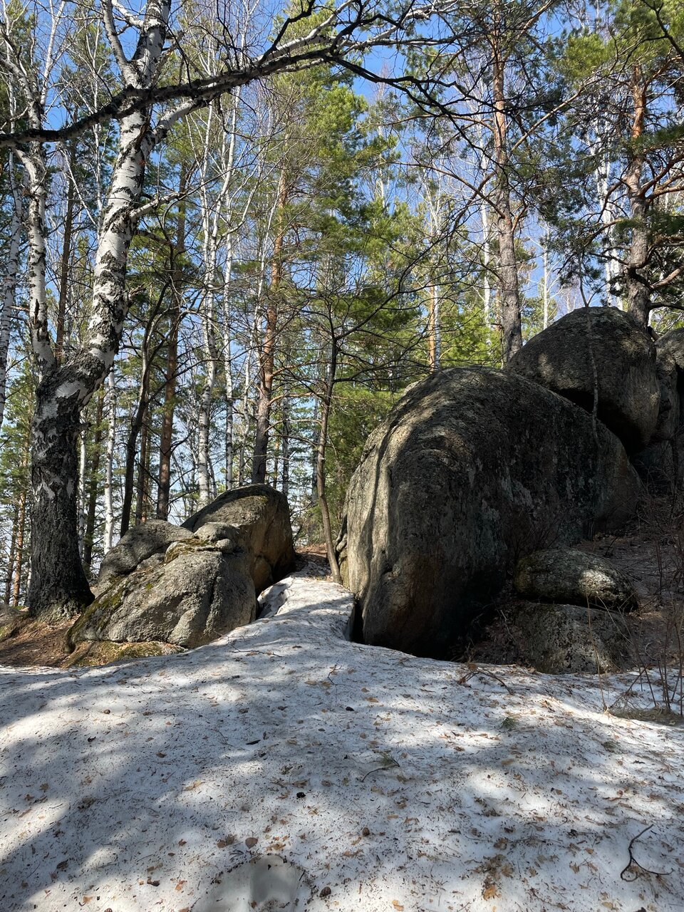 Гостиница Родник Алтая Белокуриха-168