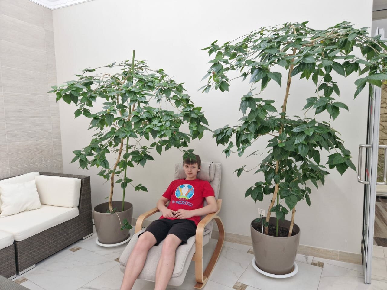 Гостиница Родник Алтая Белокуриха-215