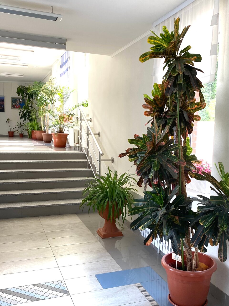 Гостиница Родник Алтая Белокуриха-192