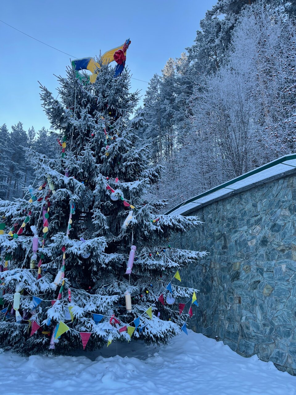 Гостиница Родник Алтая Белокуриха-91