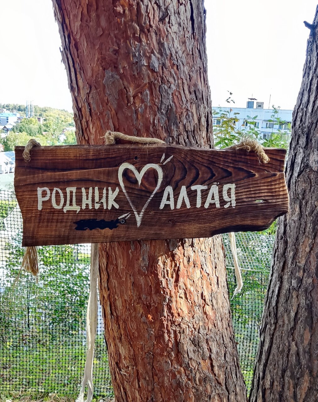 Гостиница Родник Алтая Белокуриха-186