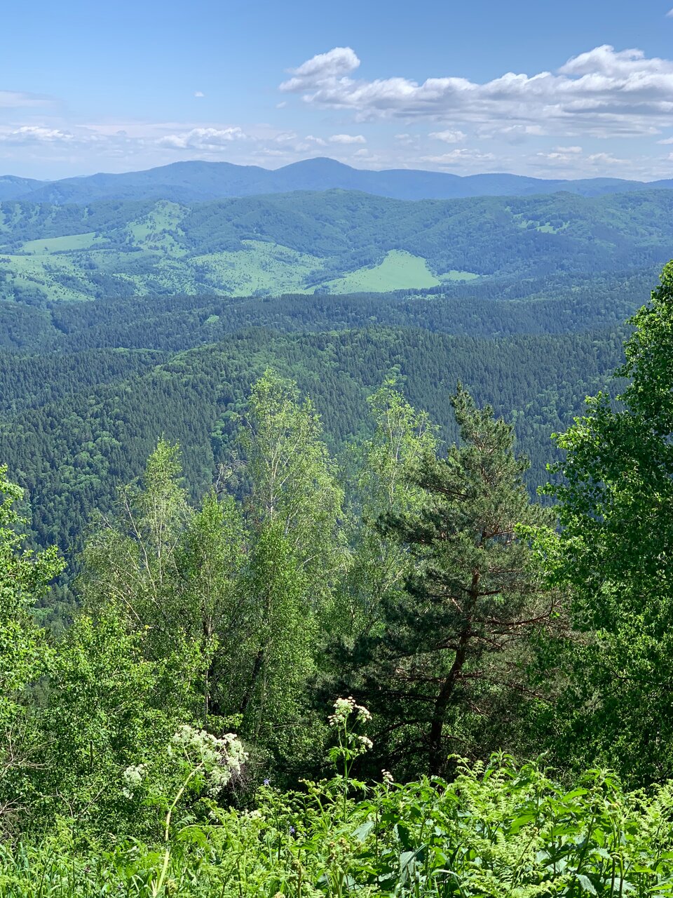 Гостиница Родник Алтая Белокуриха-129