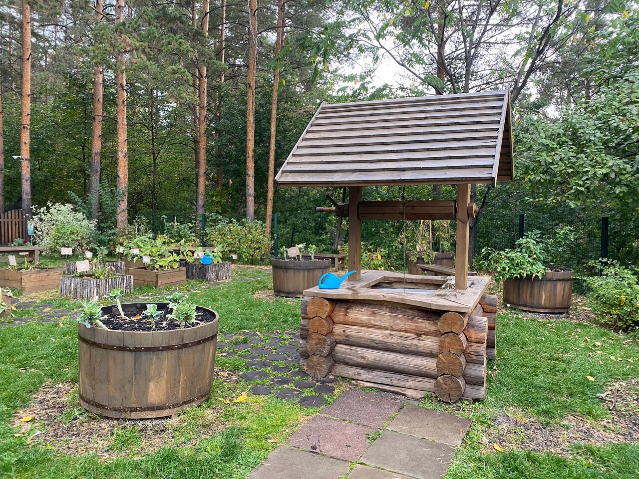 Гостиница Родник Алтая Белокуриха-188