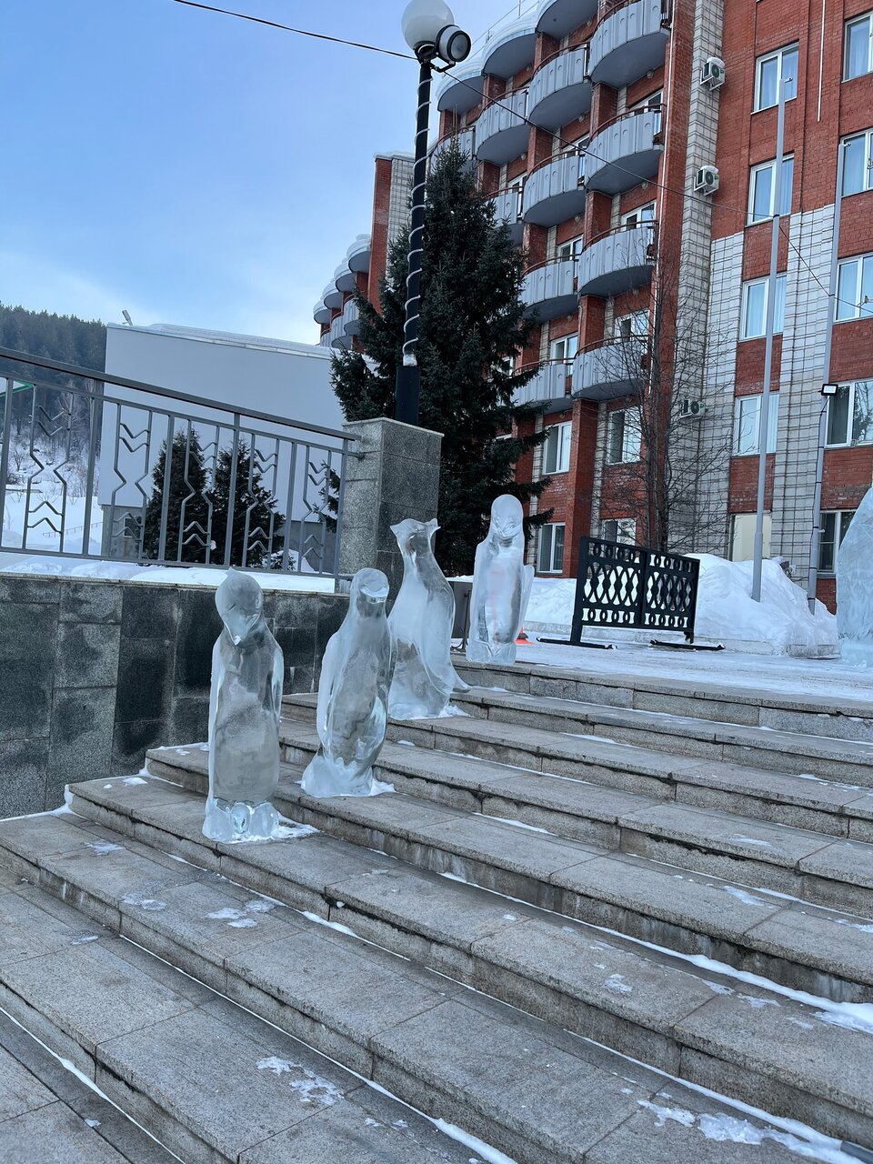 Гостиница Родник Алтая Белокуриха-126