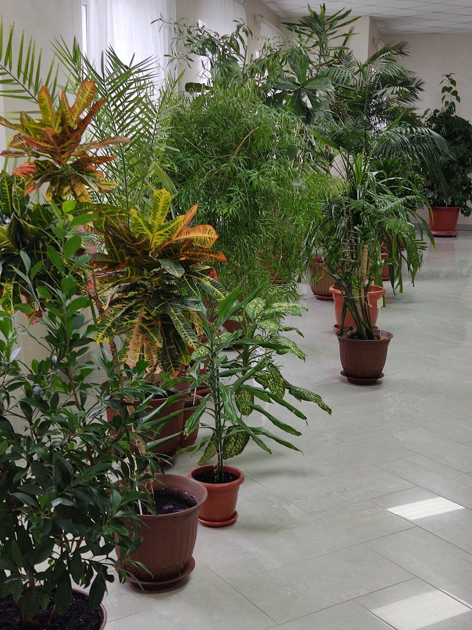 Гостиница Родник Алтая Белокуриха-199