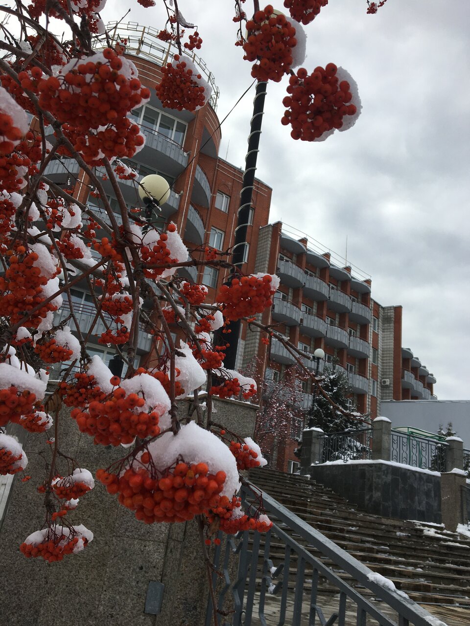 Гостиница Родник Алтая Белокуриха-206