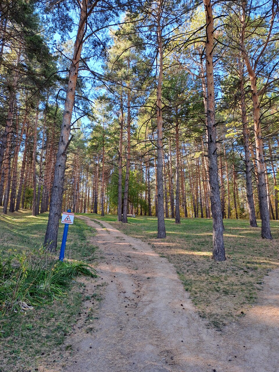 Гостиница Родник Алтая Белокуриха-191