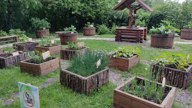 Гостиница Родник Алтая Белокуриха-174