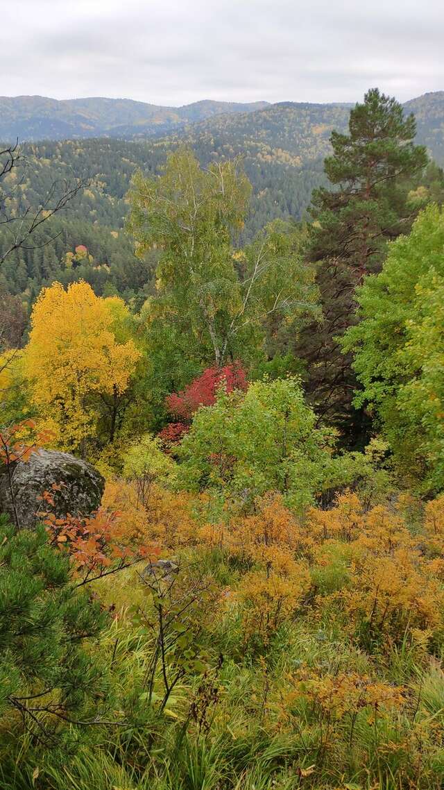 Гостиница Родник Алтая Белокуриха-243
