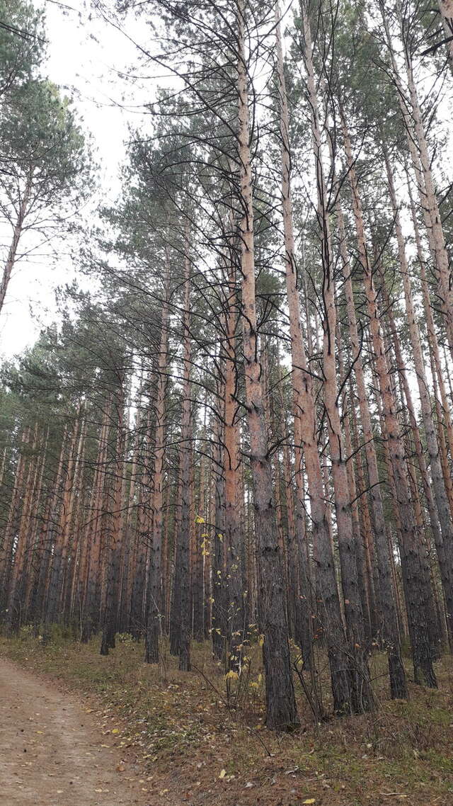 Гостиница Родник Алтая Белокуриха-153