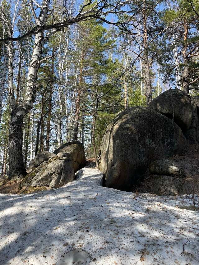 Гостиница Родник Алтая Белокуриха-167
