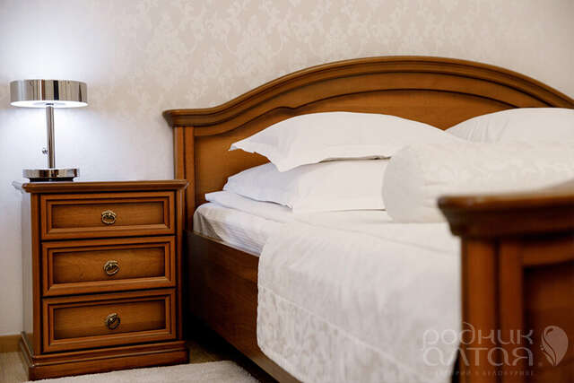 Гостиница Родник Алтая Белокуриха-19