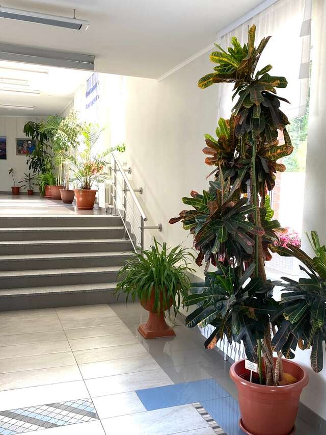 Гостиница Родник Алтая Белокуриха-191