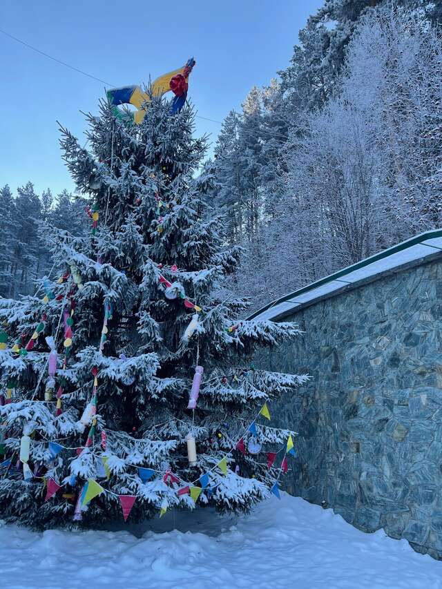 Гостиница Родник Алтая Белокуриха-90