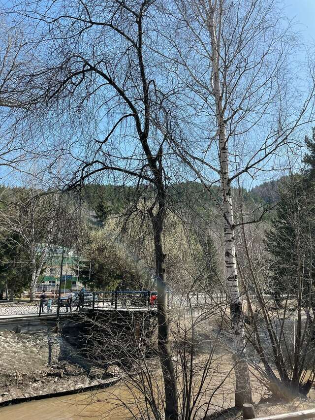 Гостиница Родник Алтая Белокуриха-171