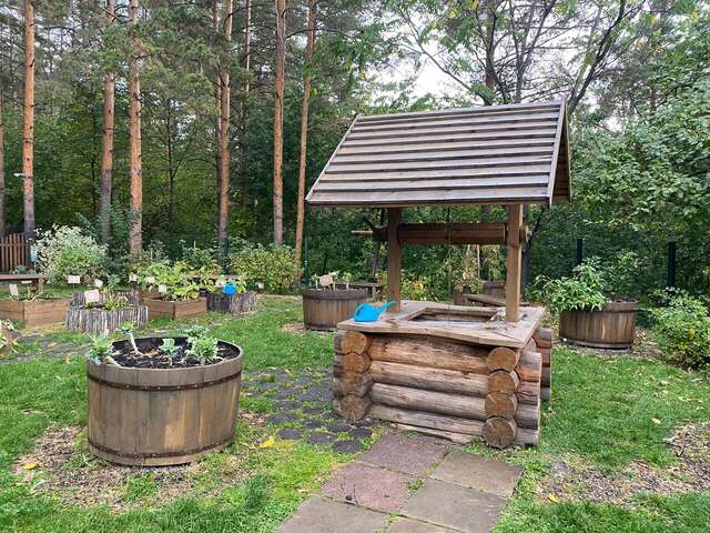 Гостиница Родник Алтая Белокуриха-187