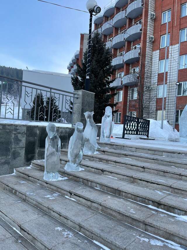 Гостиница Родник Алтая Белокуриха-125