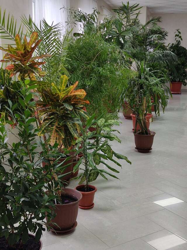 Гостиница Родник Алтая Белокуриха-198