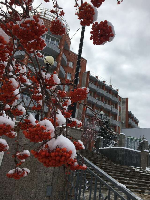 Гостиница Родник Алтая Белокуриха-205